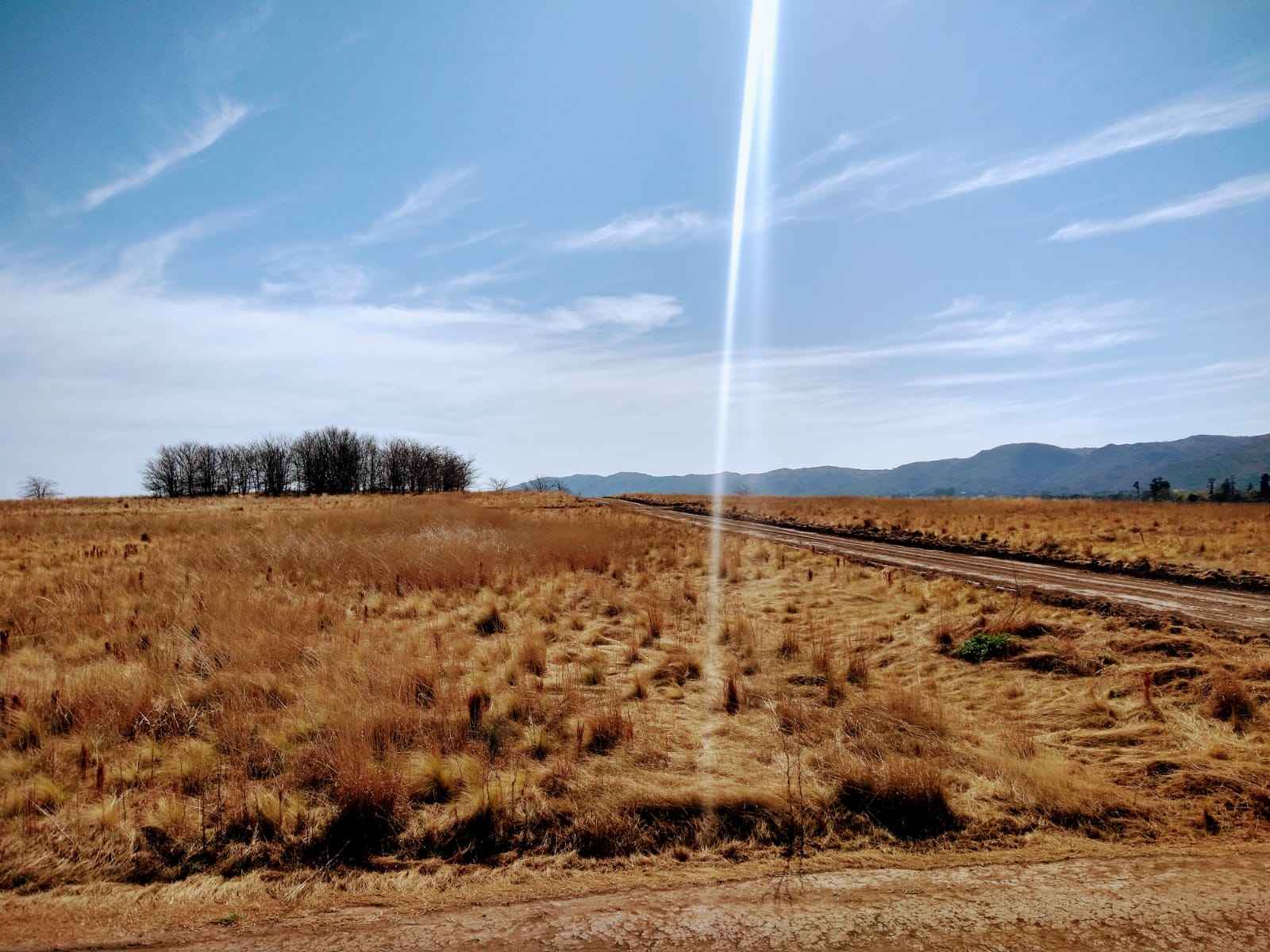 Vista 3