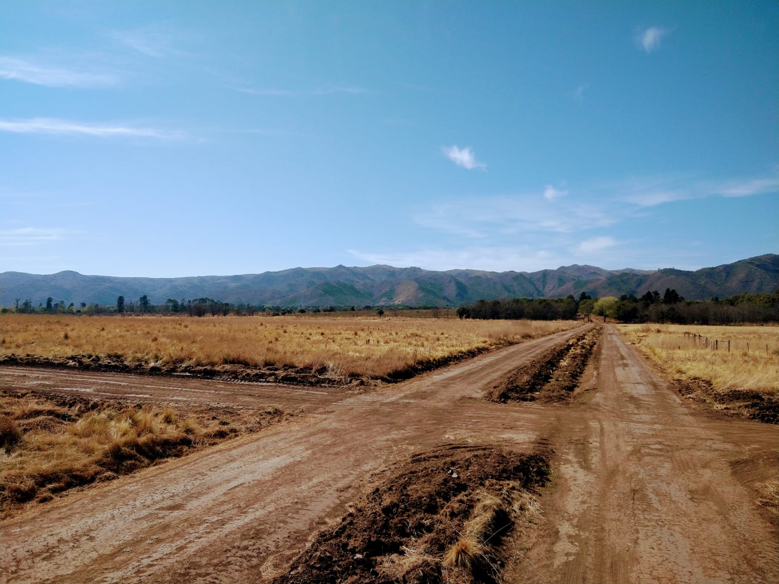 Vista 4