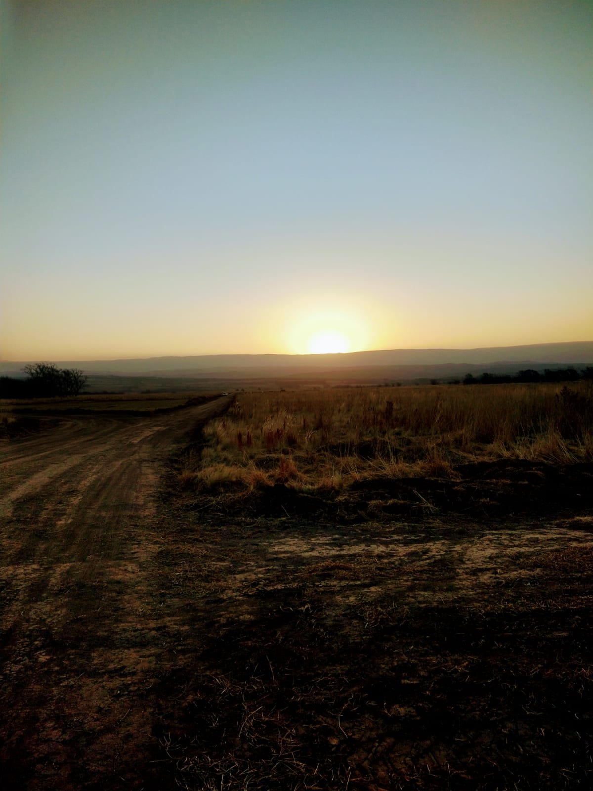 Vista 6